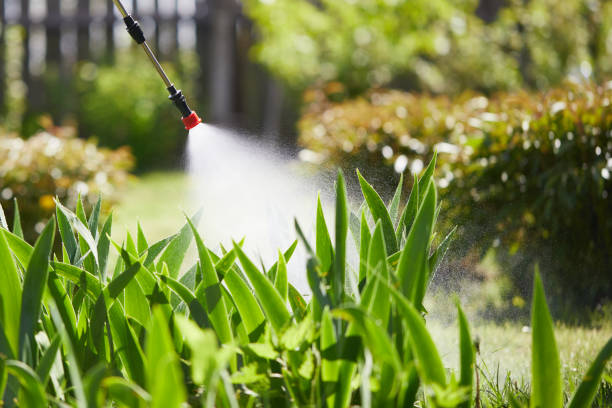 24/7 Emergency Termite Control experts in Marlton, NJ