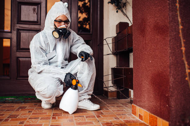 Reliable Termite Control contractor in Marlton, NJ by Nex Pest Control
