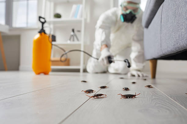 Trusted Termite Control service in Marlton, NJ - Nex Pest Control