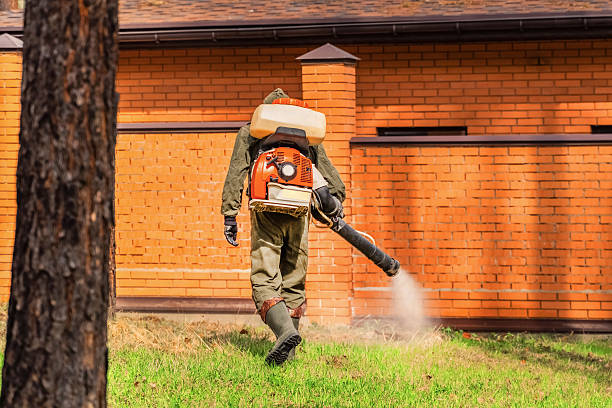 Trusted Ant Control service in Marlton, NJ - Nex Pest Control